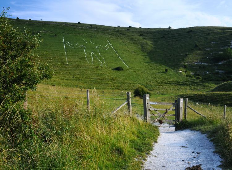 A chalk figure of a man holding a stick on the hillside